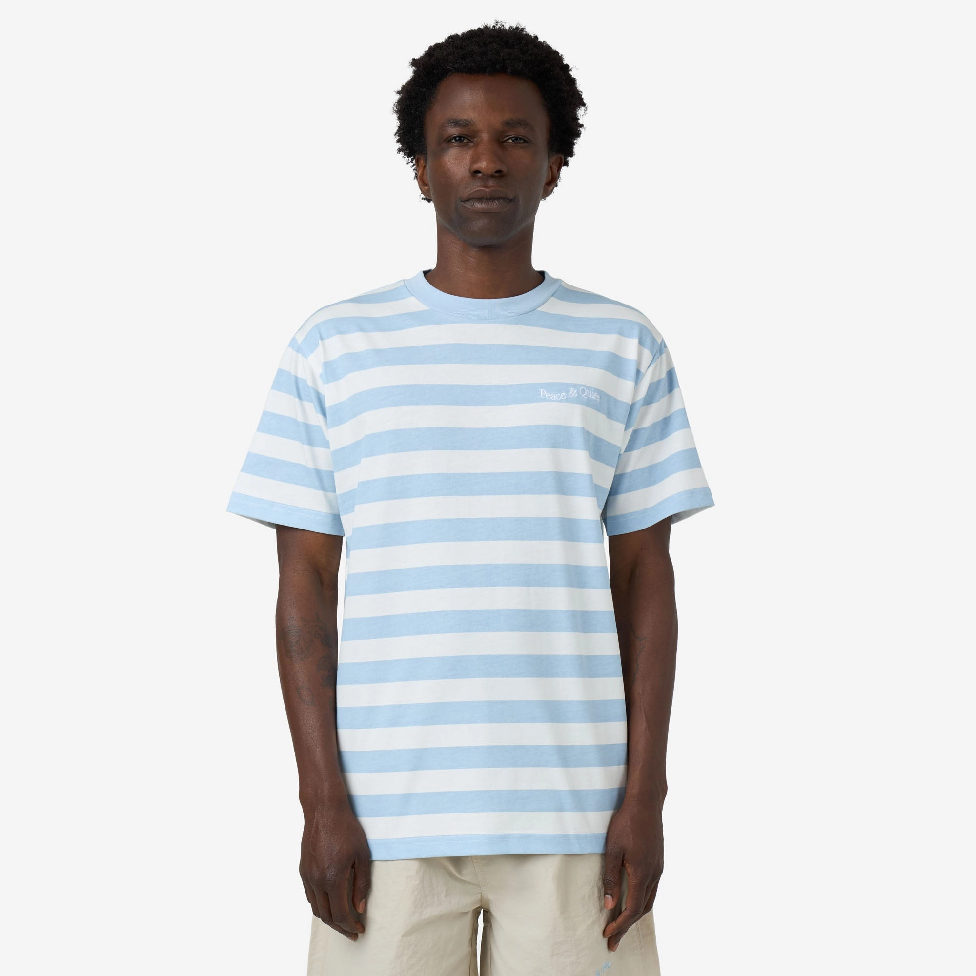 Male fit Museum Of Peace & Quiet Wordmark Striped T-Shirt / Baby Blue