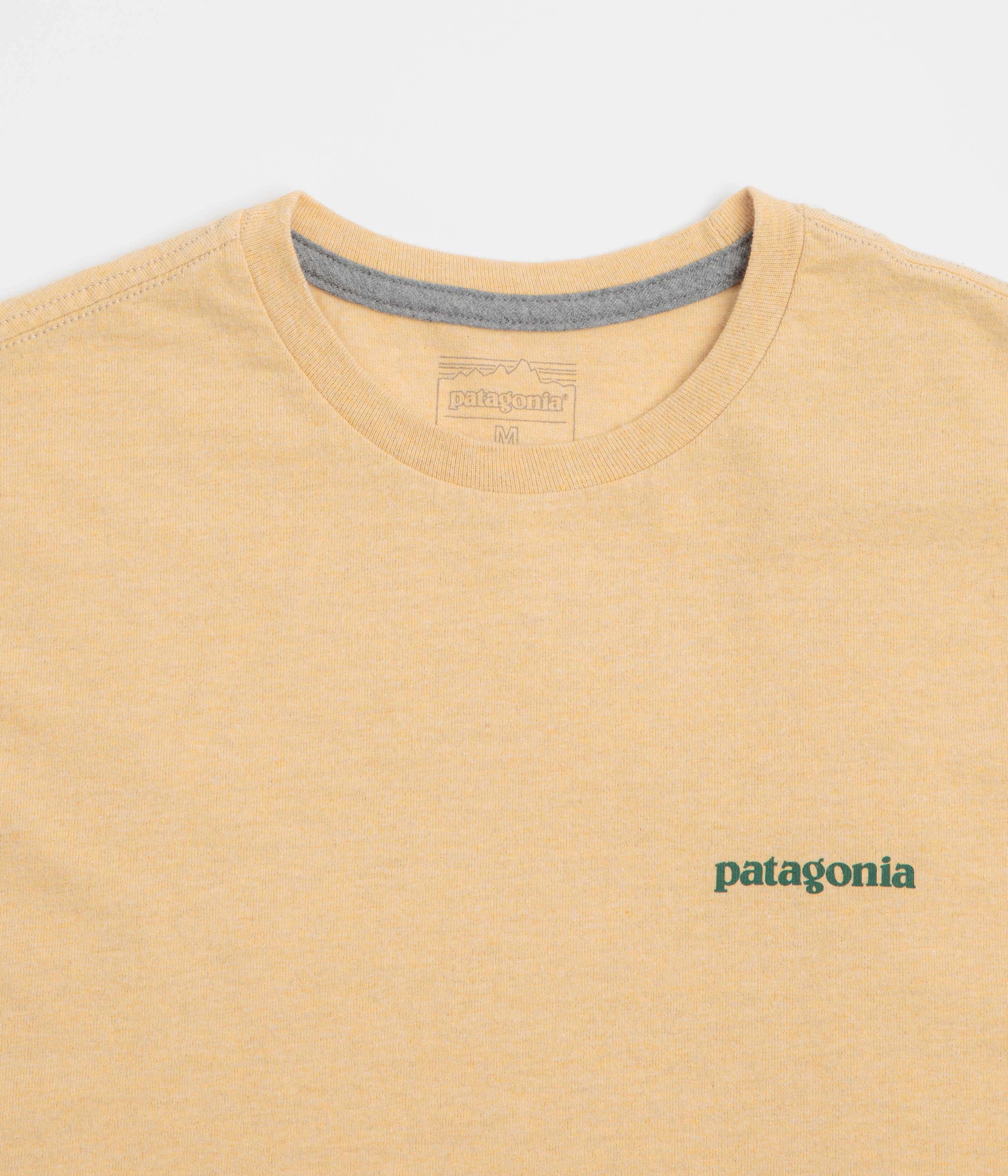 evening Patagonia Flying Fish Responsibili-Tee T-Shirt - Flying Fish: Cliffs and Coves Conifer Green