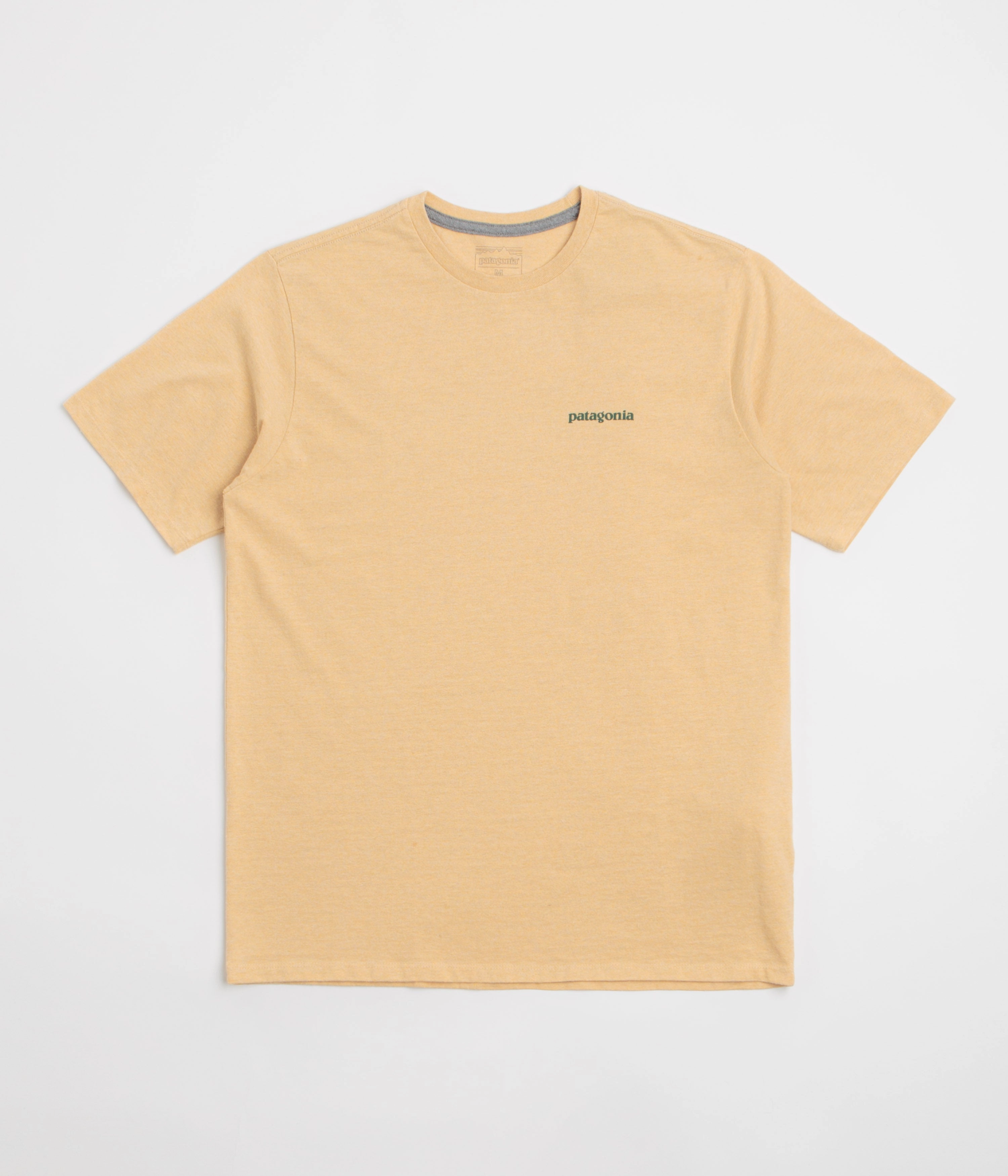 Patagonia Flying Fish Responsibili-Tee T-Shirt - Flying Fish: Cliffs and Coves Conifer Green eyelet rural climate