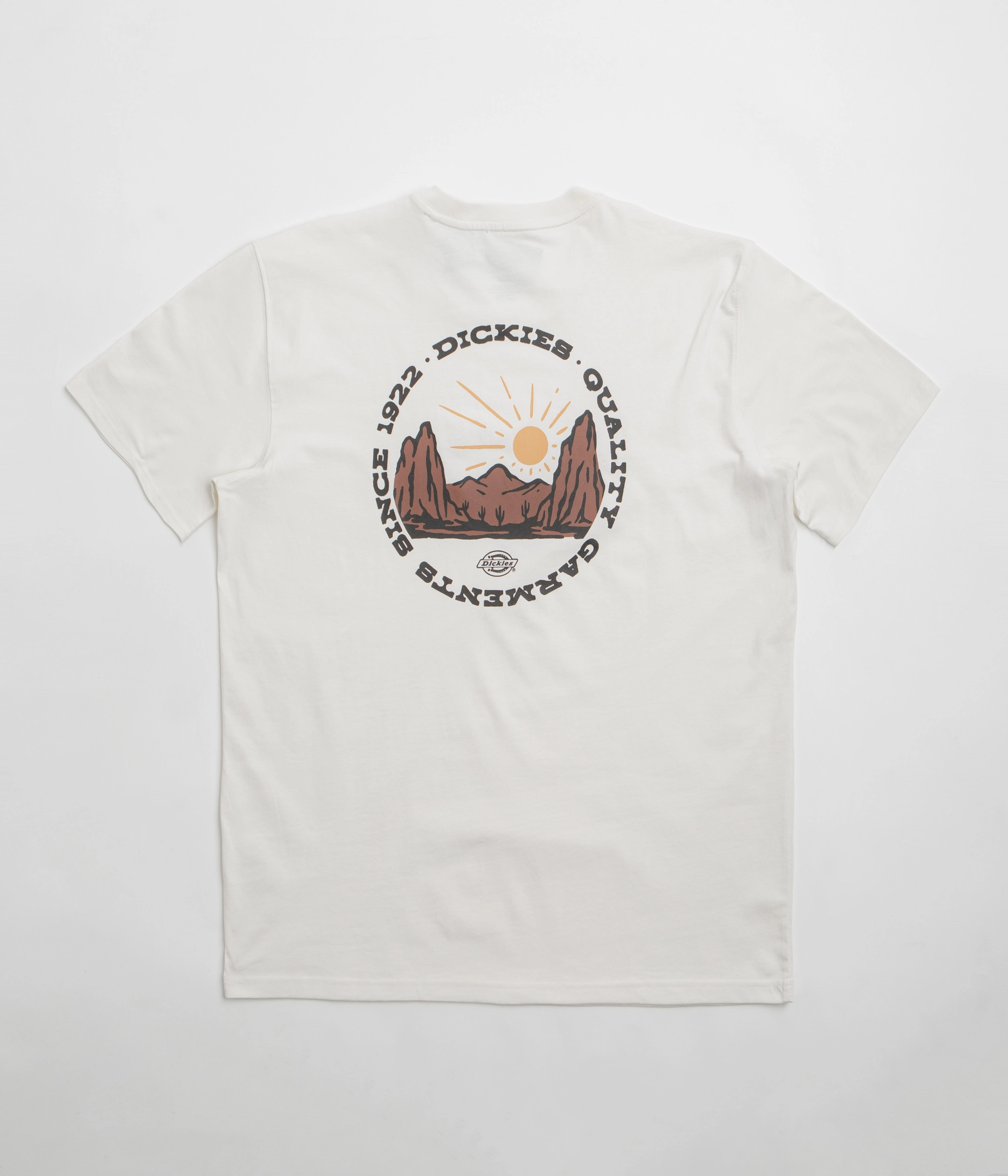 Male Dickies Dickies Outdoor T-Shirt - Egret