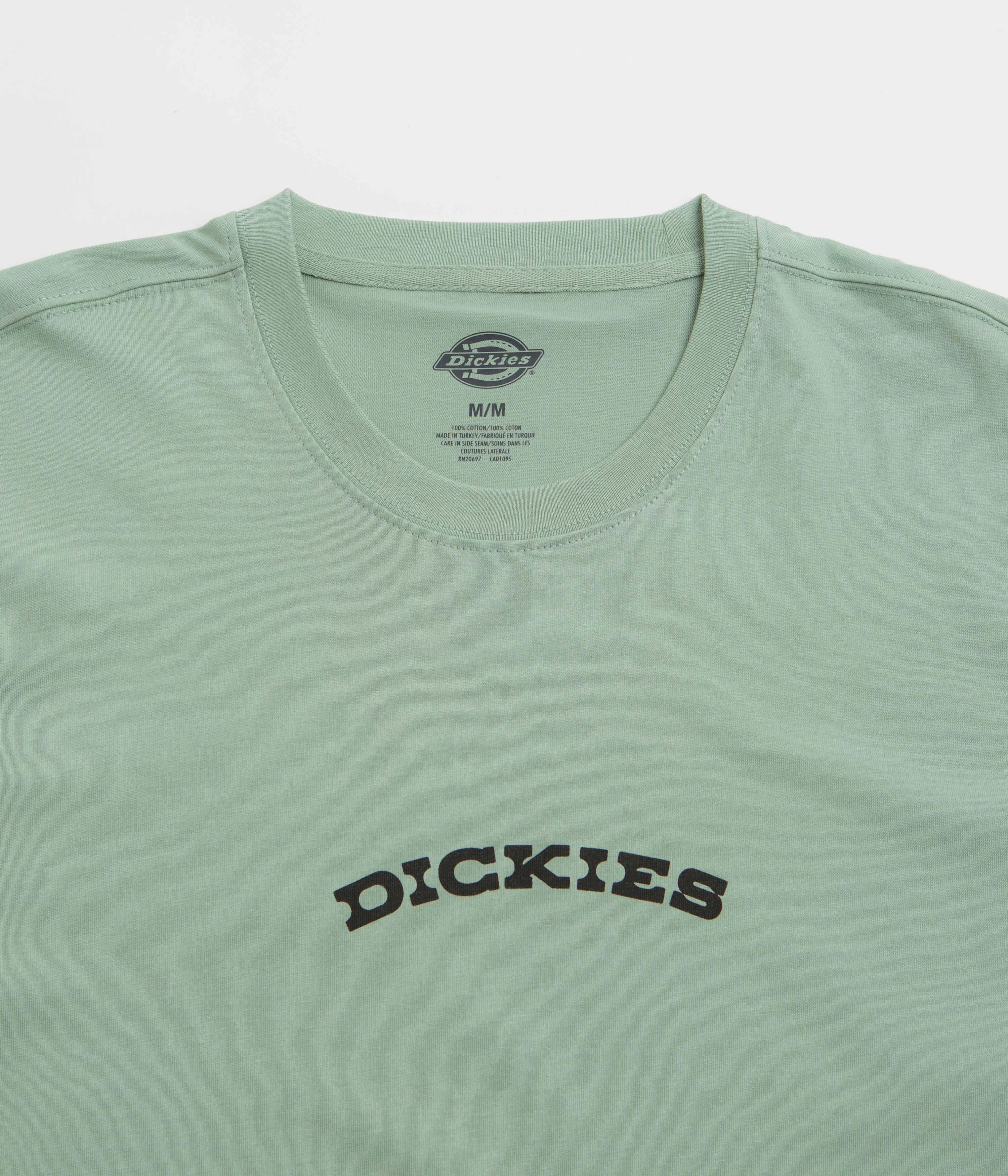 aquarium event Checkered Dickies Dickies Outdoor T-Shirt - Iceberg Green