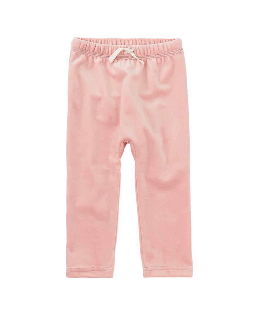 Crisp Design Tea Collection Very Velour Jogger Pant