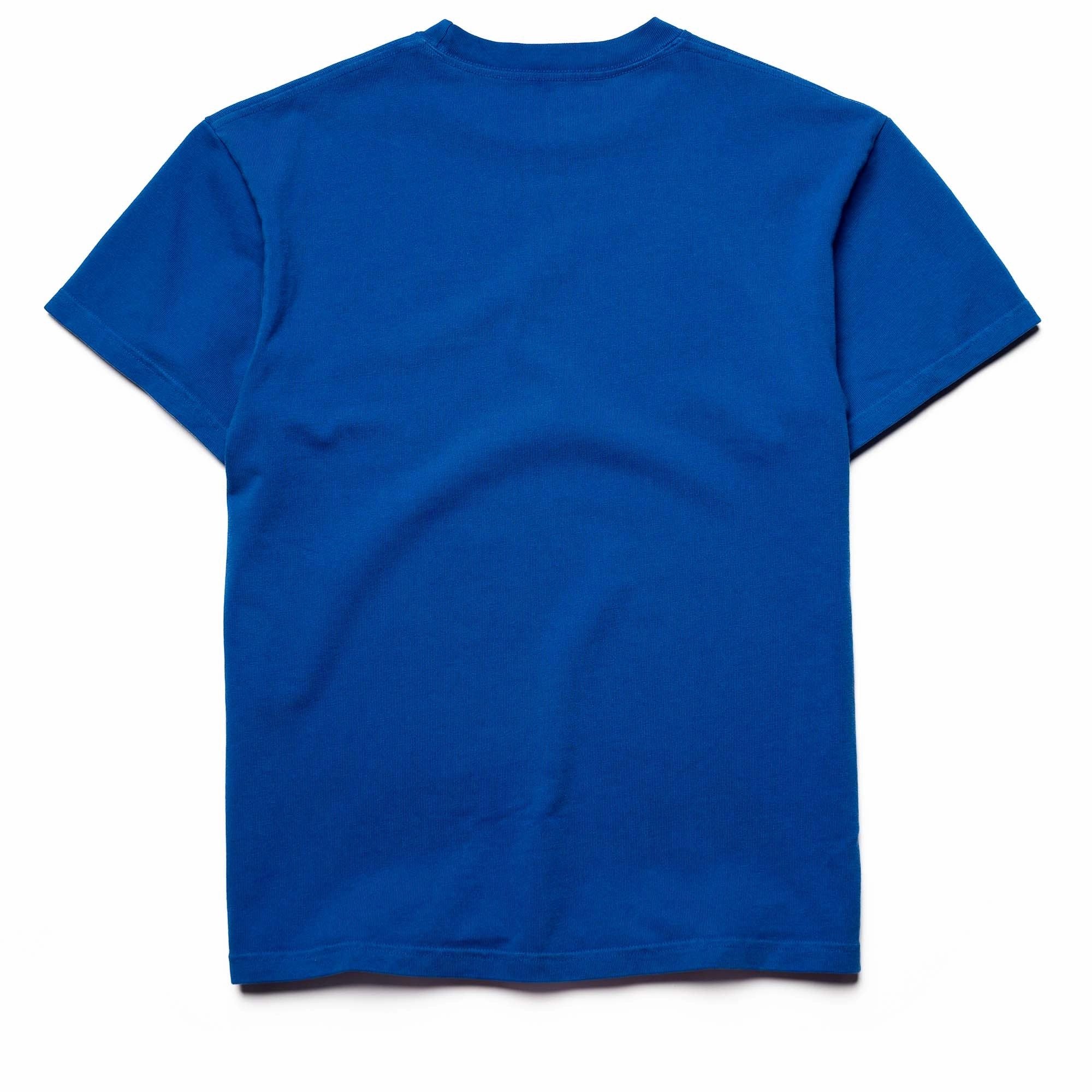 gym event Always On Tour Enemy Of The State Tee - Blue