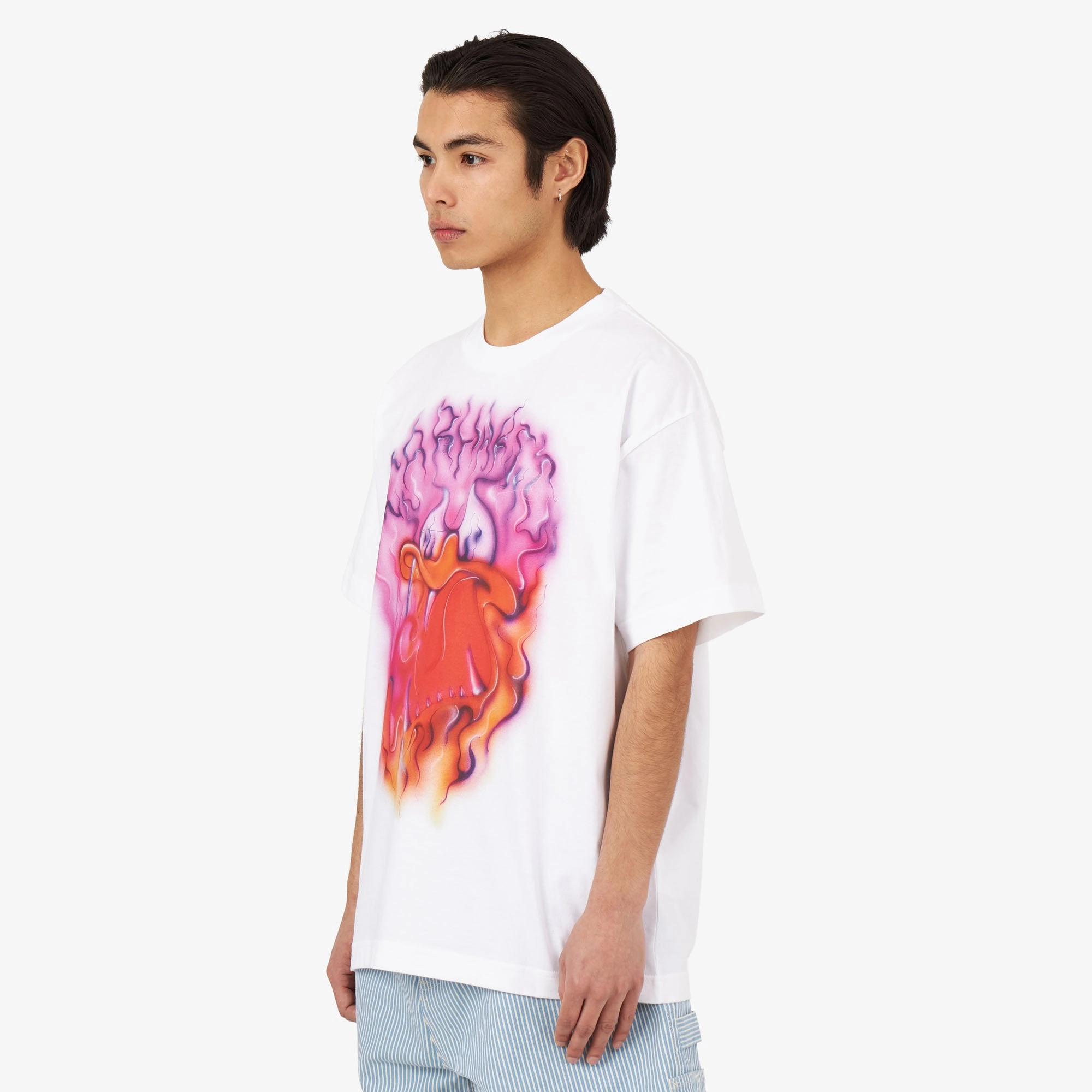 skating venue male clothing Carhartt WIP Babybrush Duck T-shirt / White
