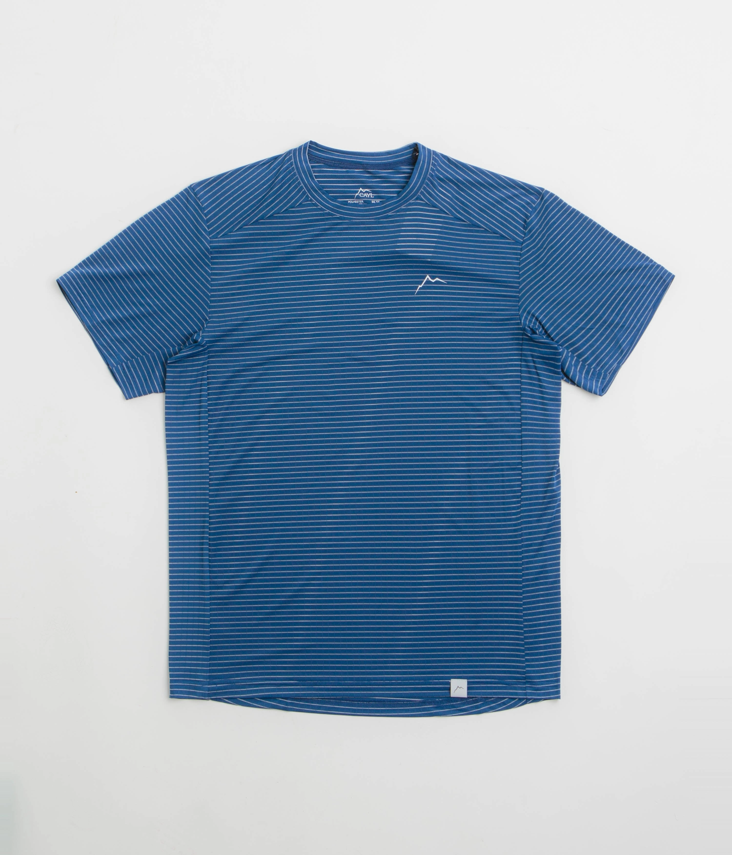 Dry clean only Cayl Stripe Logo T-Shirt - Blue