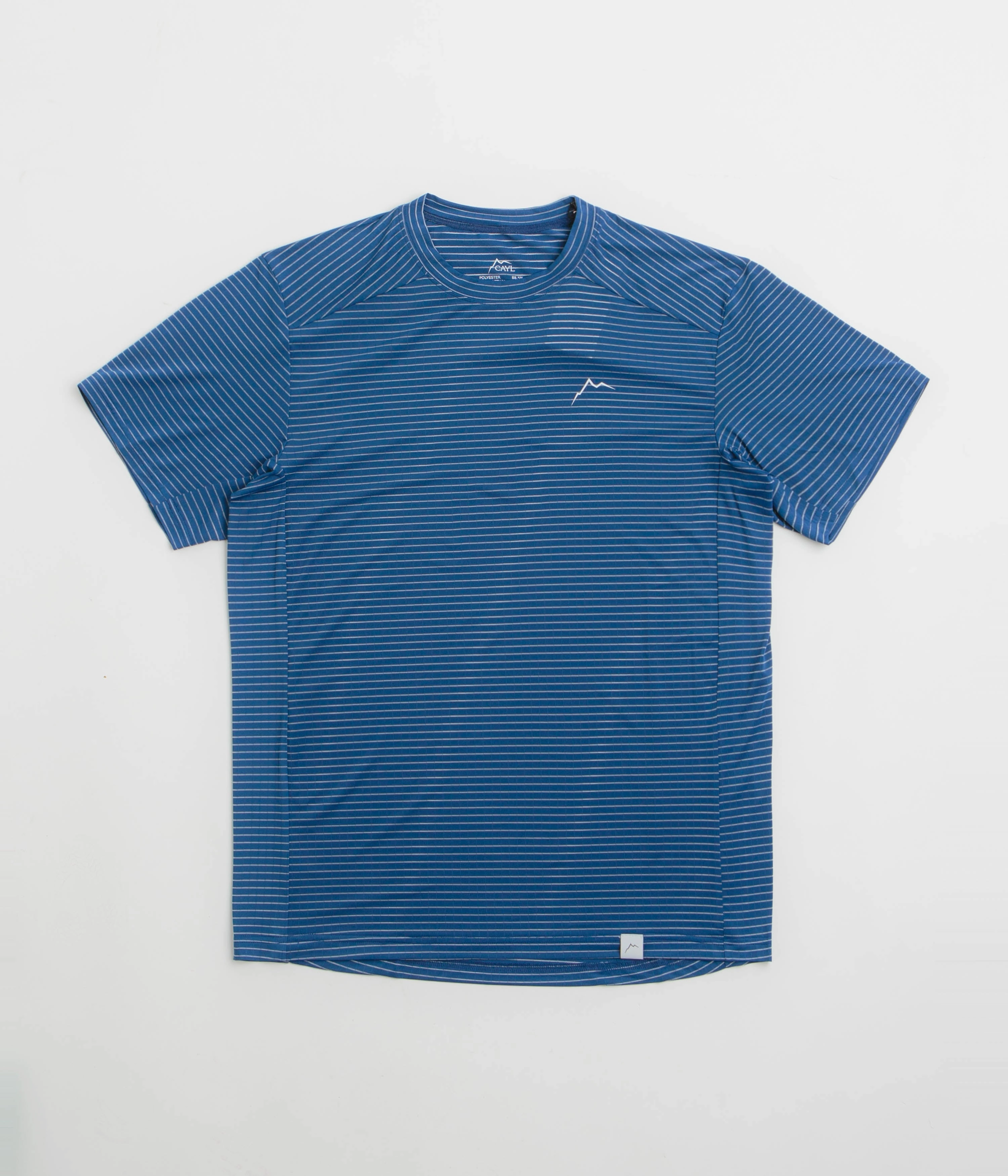 Trendy Accessories Cayl Stripe Logo T-Shirt - Blue