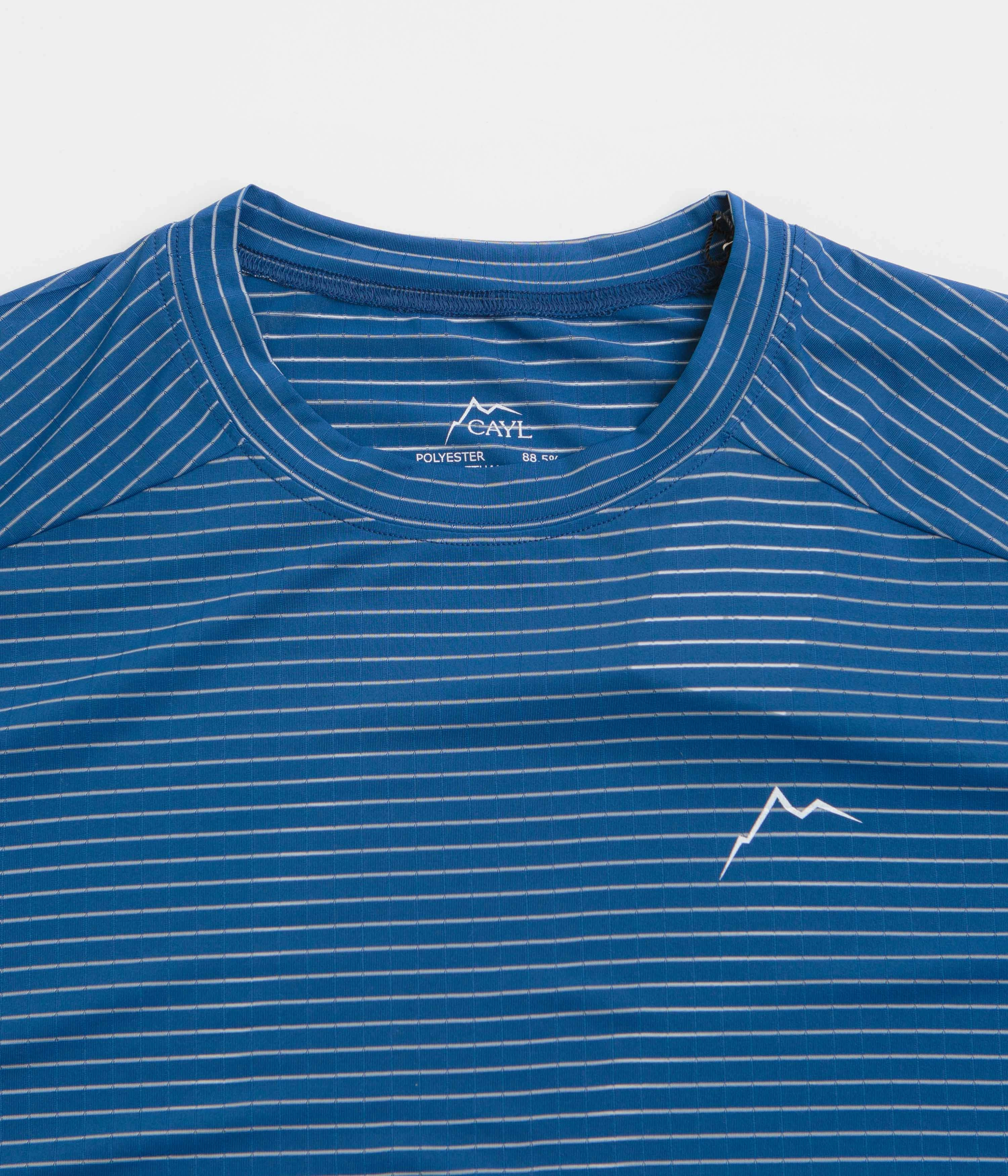 Short Length Cayl Stripe Logo T-Shirt - Blue