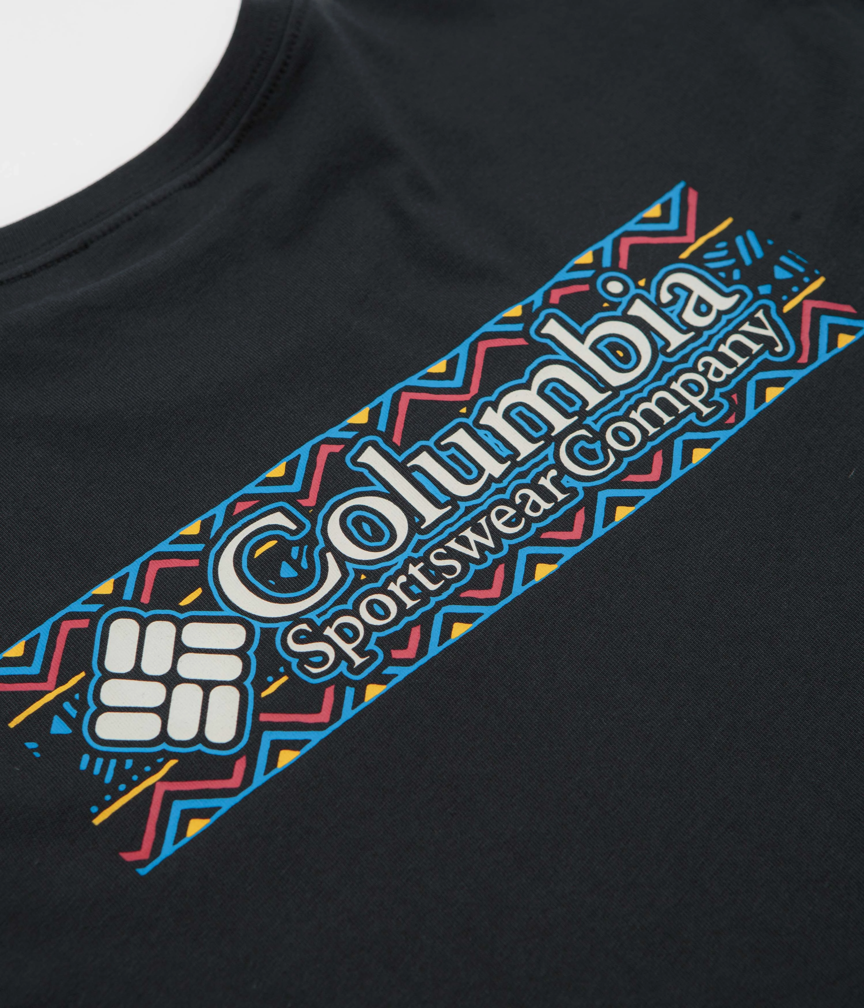 Printed Male fit Columbia Explorers Canyon Long Sleeve T-Shirt - Black / Branded Blanket