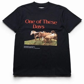 aquarium venue One Of These Days Wild Horses Tee - Washed Black