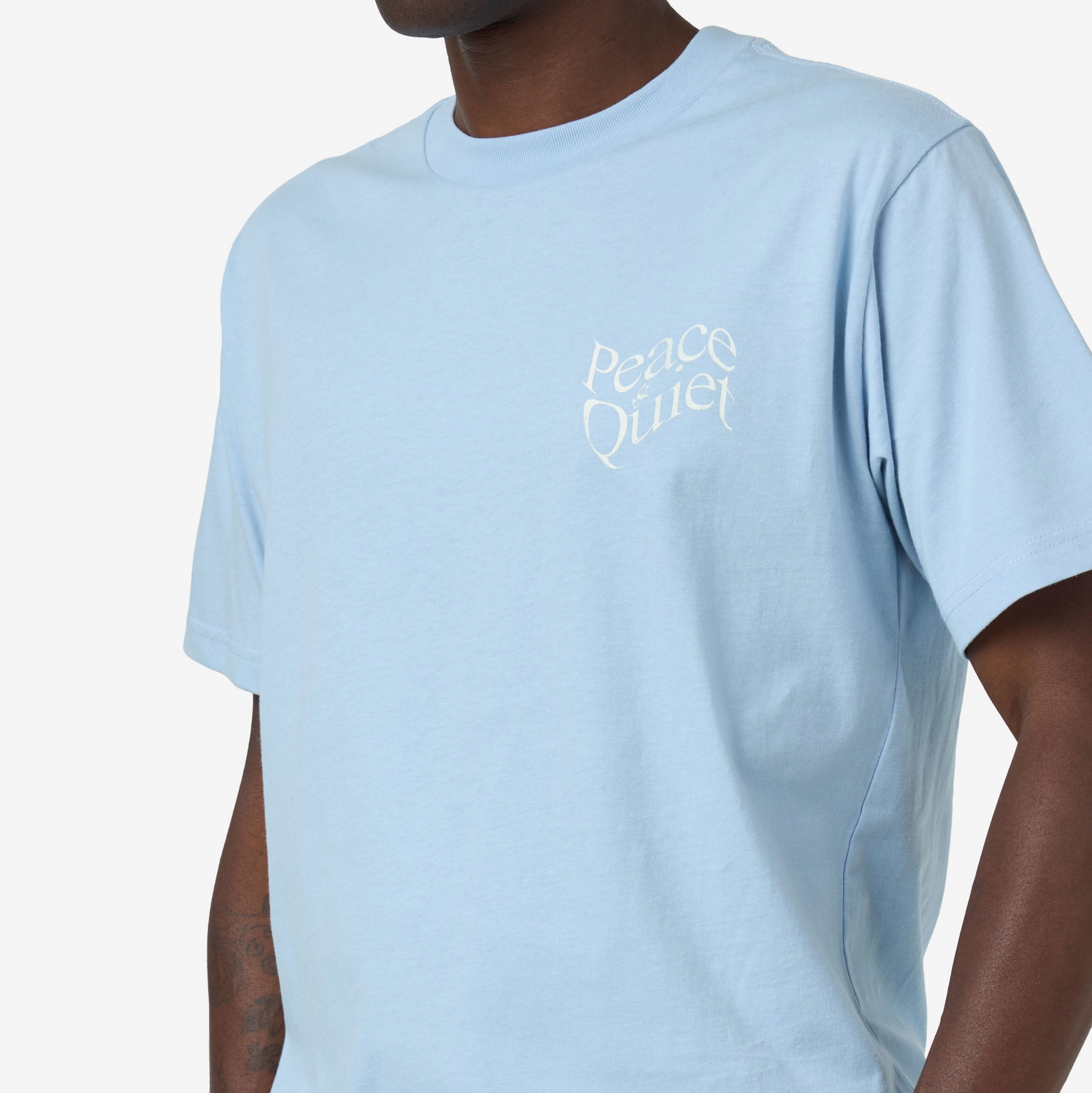 Museum Of Peace & Quiet Wordmark T-Shirt / Baby Blue picnic clothes Limited availability