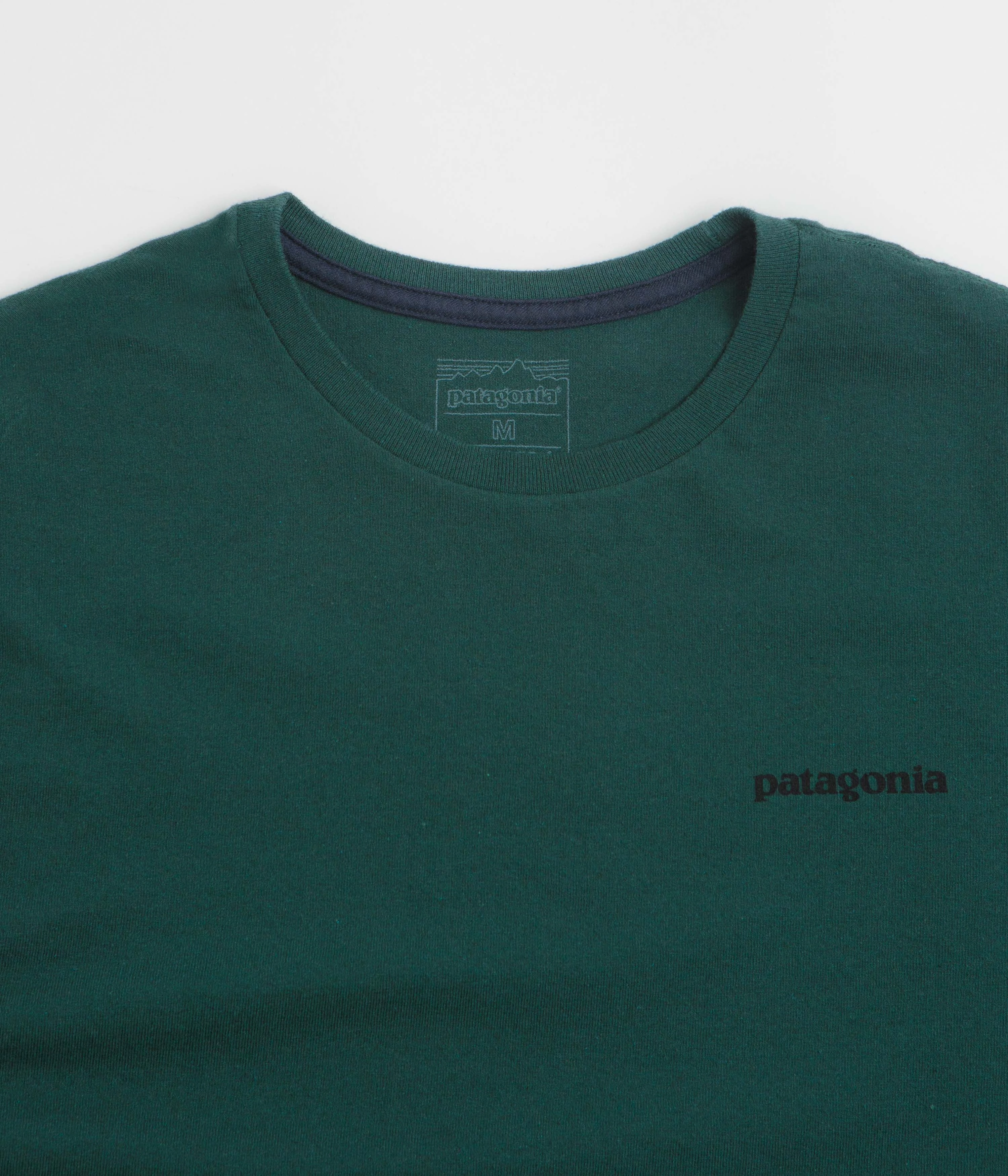 Patagonia P-6 Logo Responsibili-Tee T-Shirt - Cascade Green plane venue concert