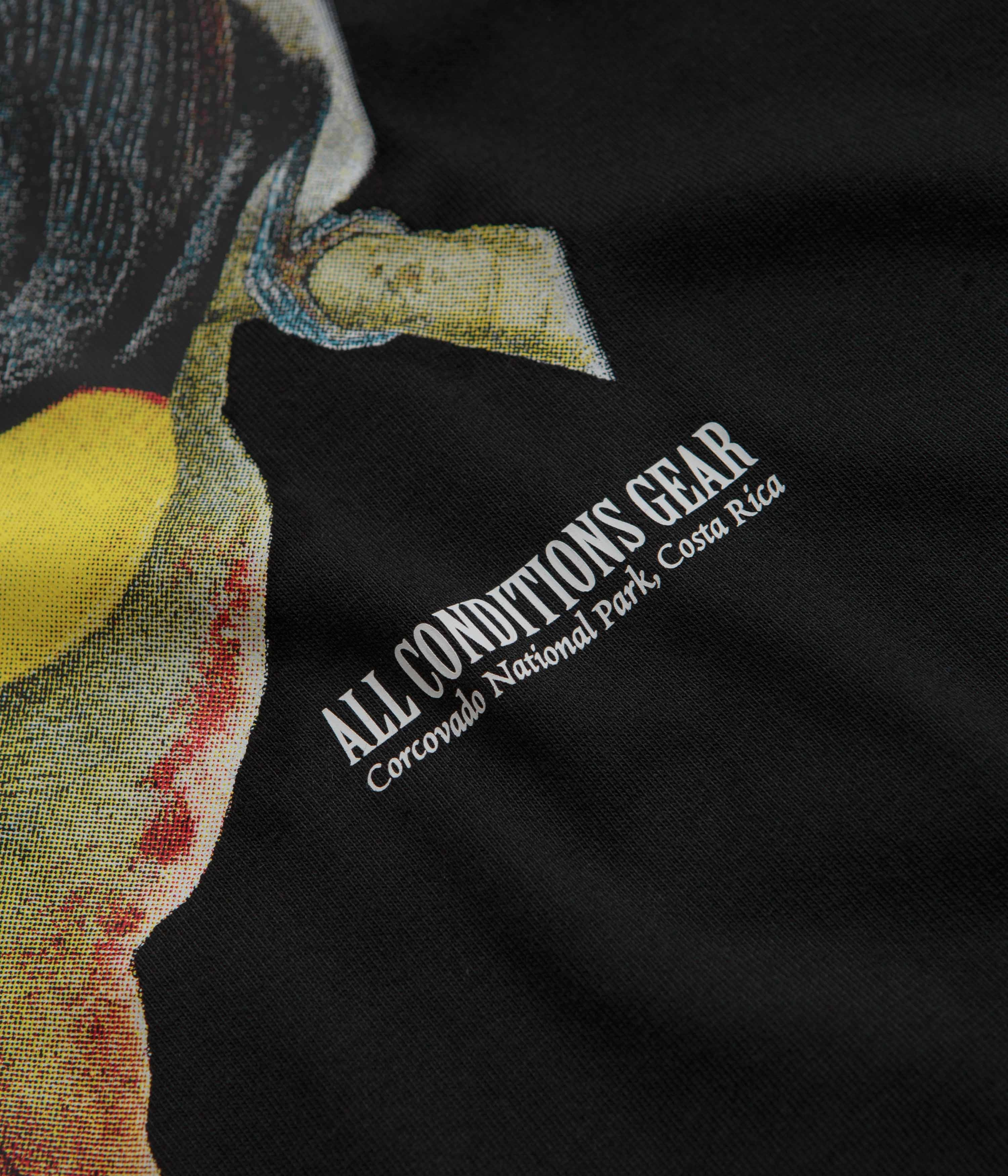 Nike ACG Toucan T-Shirt - Black High End indoor climate