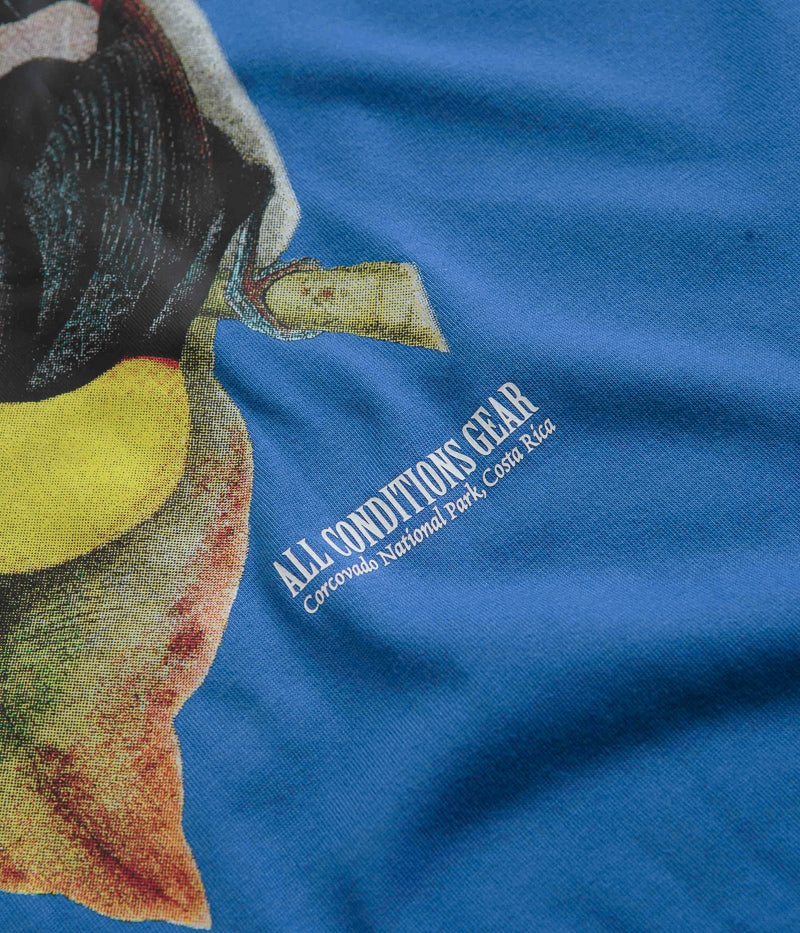 Nike ACG Toucan T-Shirt - Game Royal Hook And Loop cropped legs