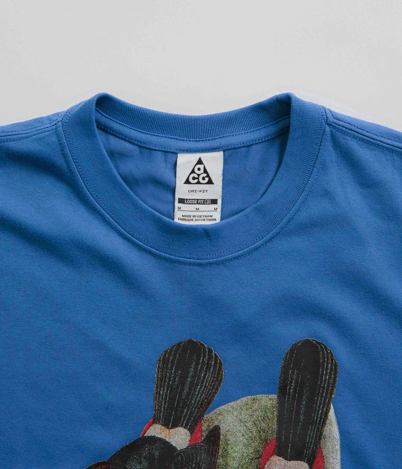 Nike ACG Toucan T-Shirt - Game Royal Tiered hem sunglasses