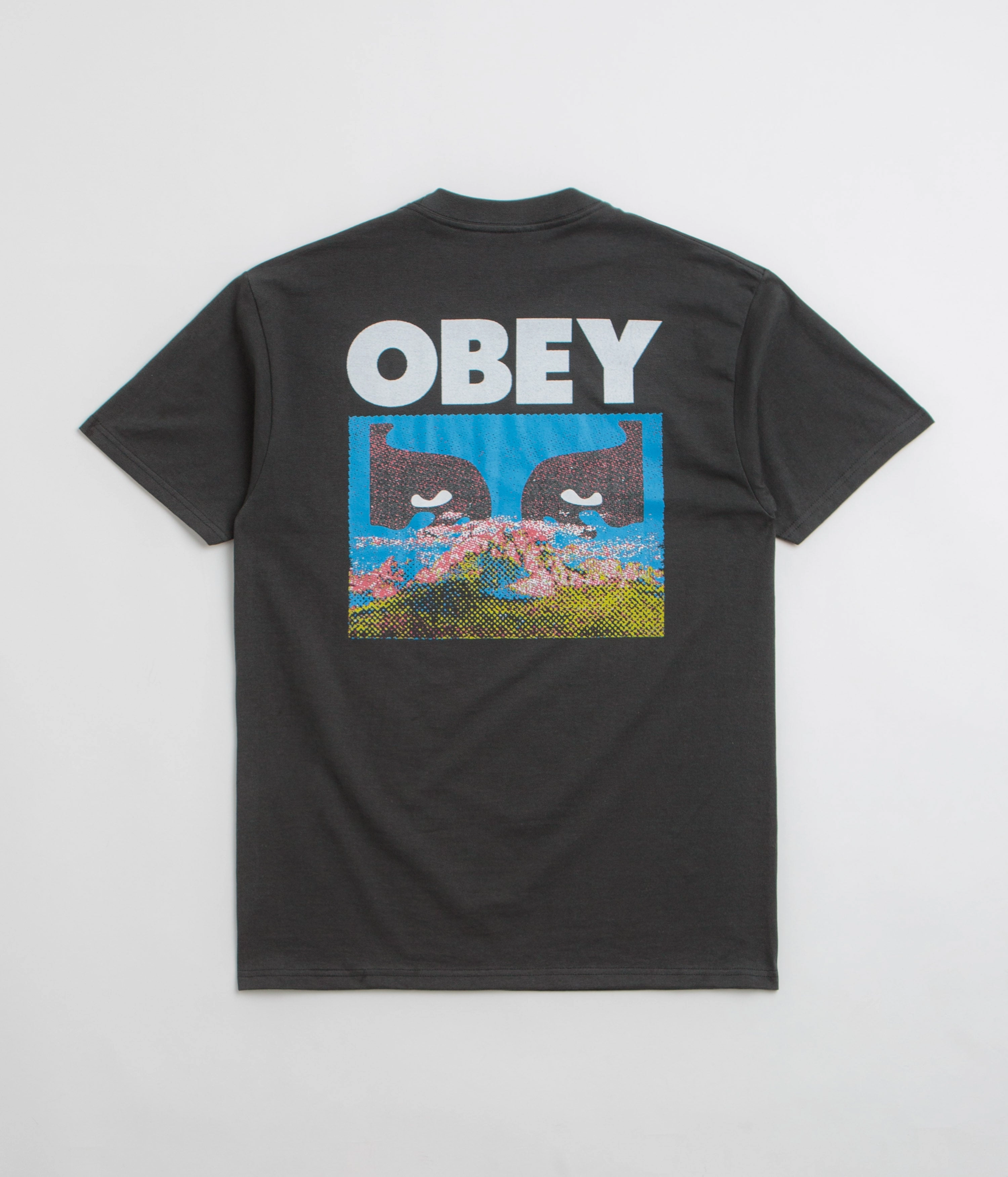 Obey In A Different Place T-Shirt - Vintage Black Chic