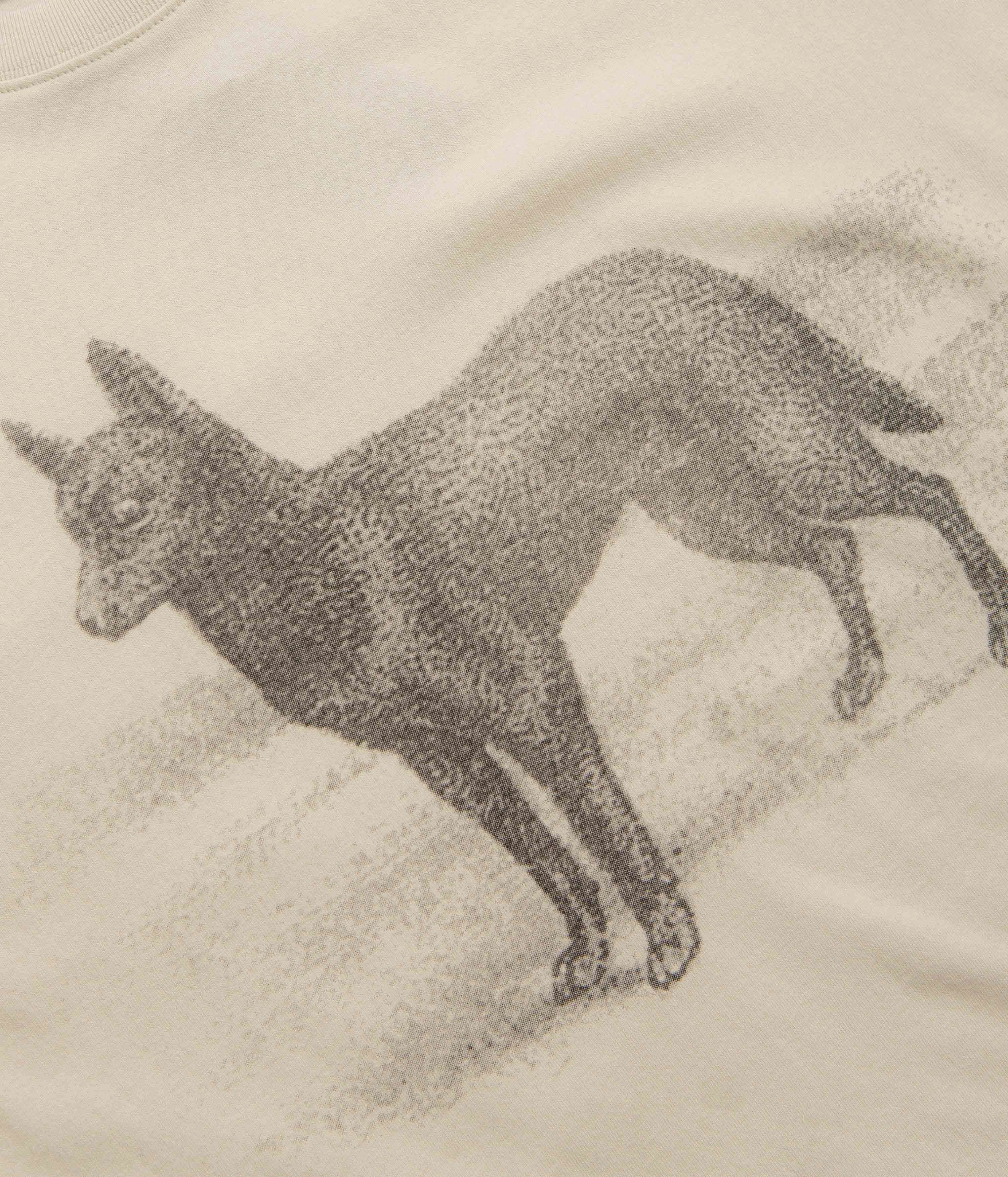 Ombre Functional Pass Port Kelpie T-Shirt - Natural