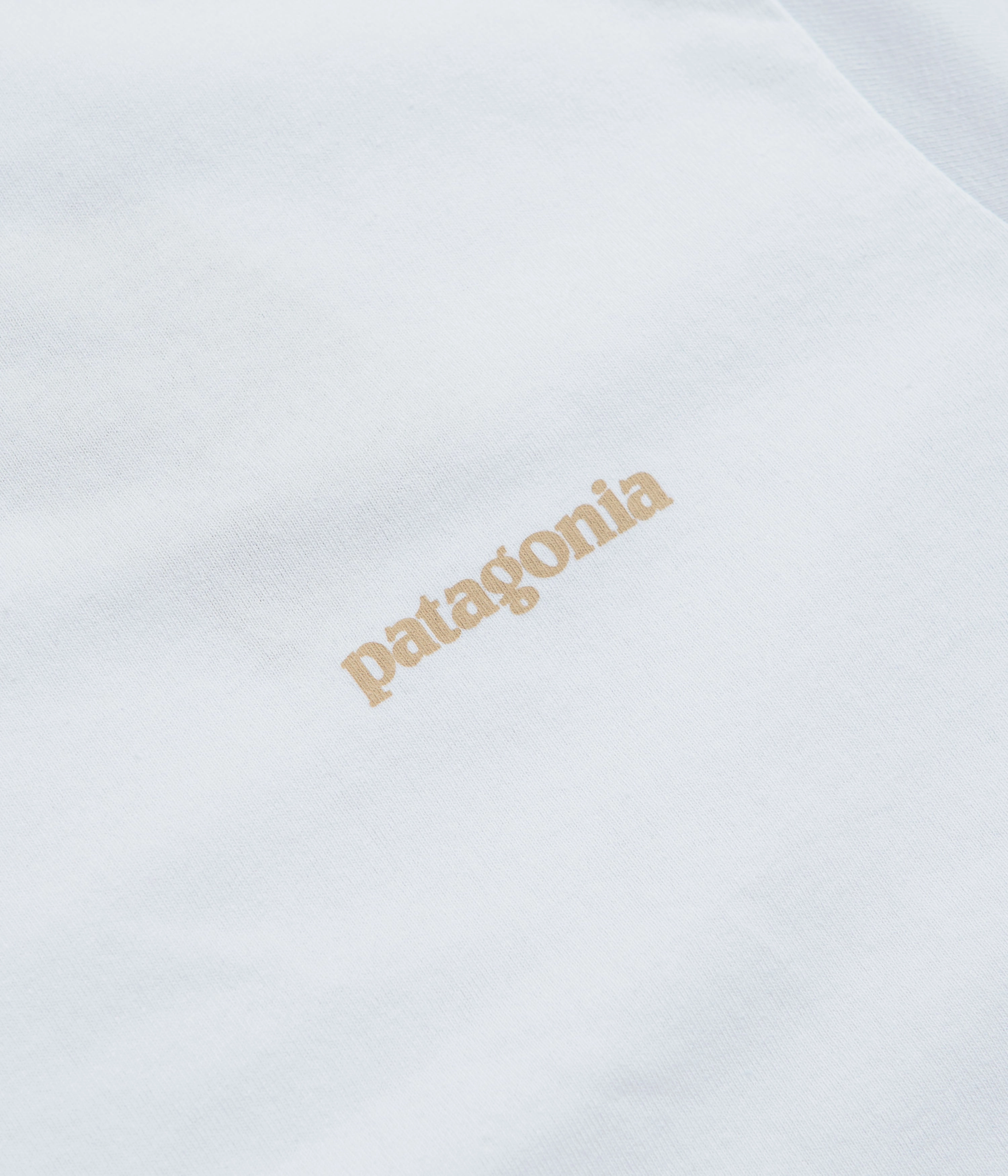 Date night Patagonia Fitz Roy Icon Responsibili-Tee T-Shirt - White