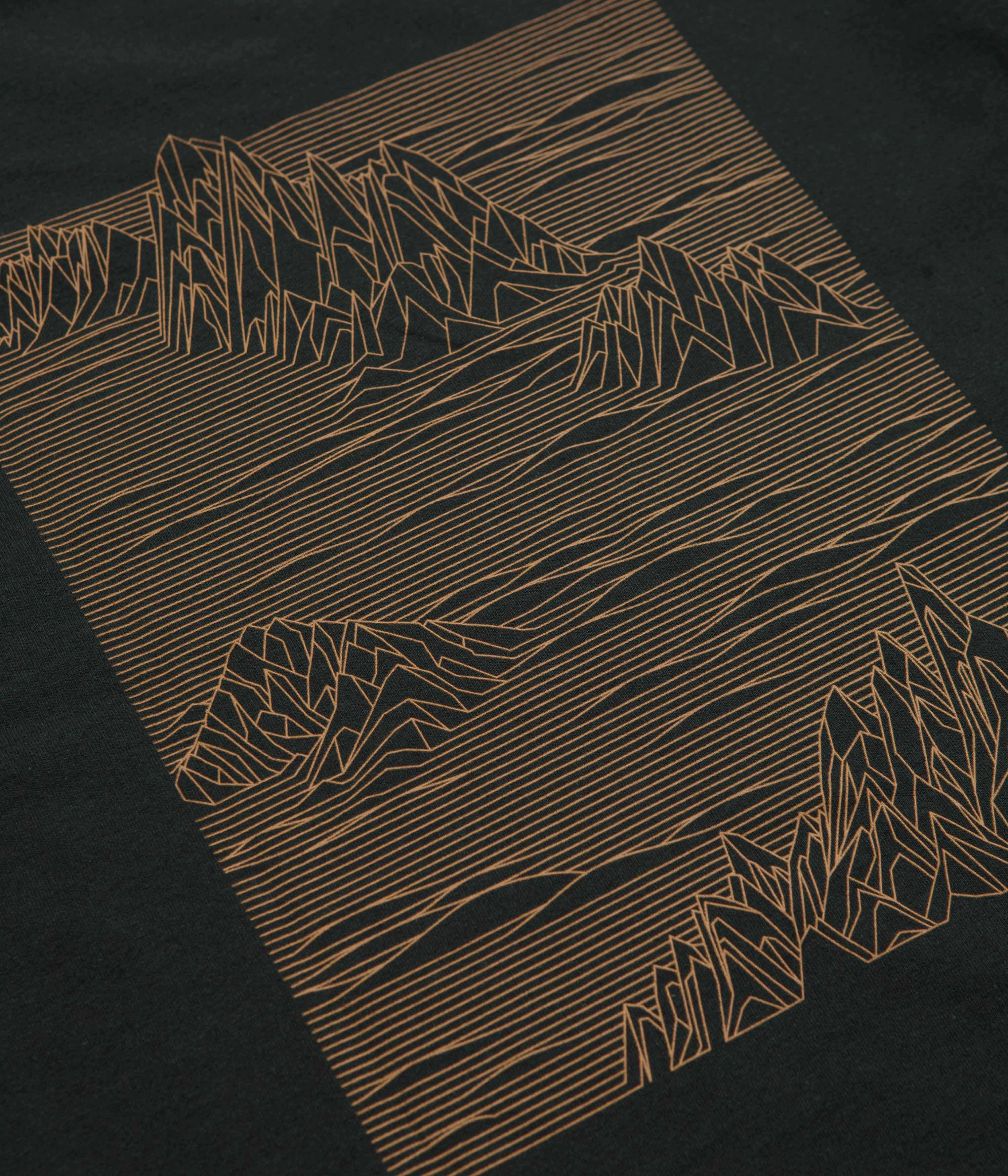 concert venue Running clothes Patagonia Strataspire Responsibili-Tee T-Shirt - Old Growth Green