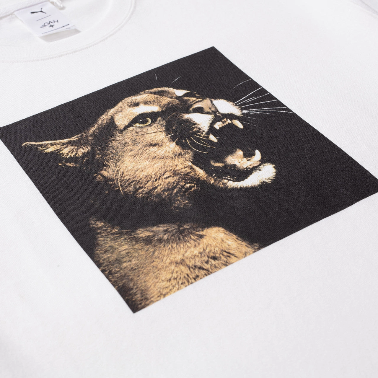 Photo Graphic Tee x Noah adjustable sleeves ruffled hem