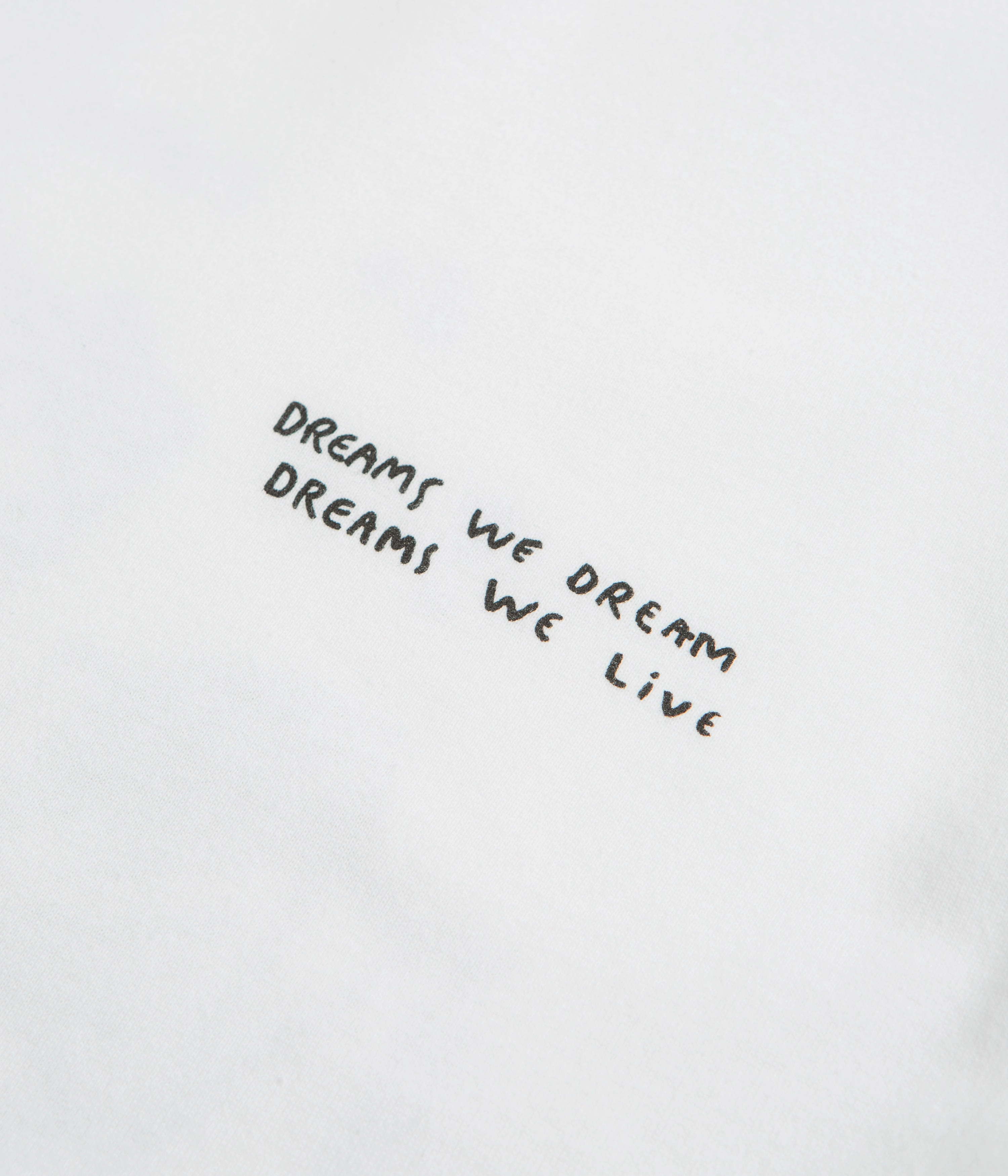 beach scene Polar Dreams We Dream T-Shirt - White