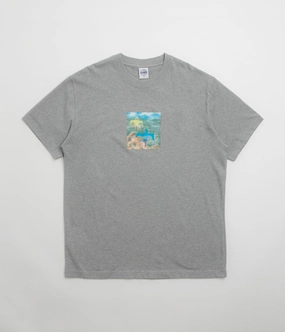 Anti-static football event Polar Scarecrow T-Shirt - Heather Grey