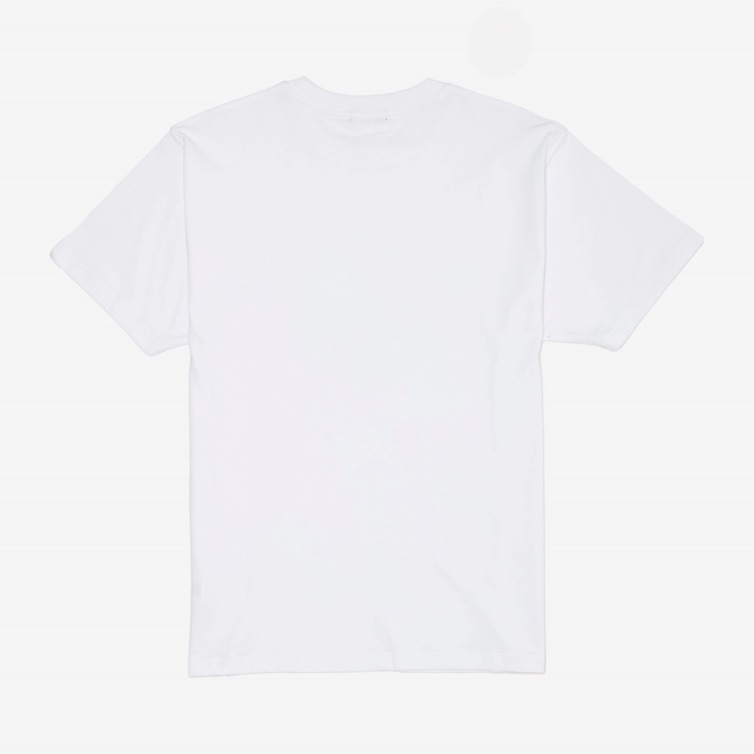 Bohemian snowboarding venue Radar T-Shirt