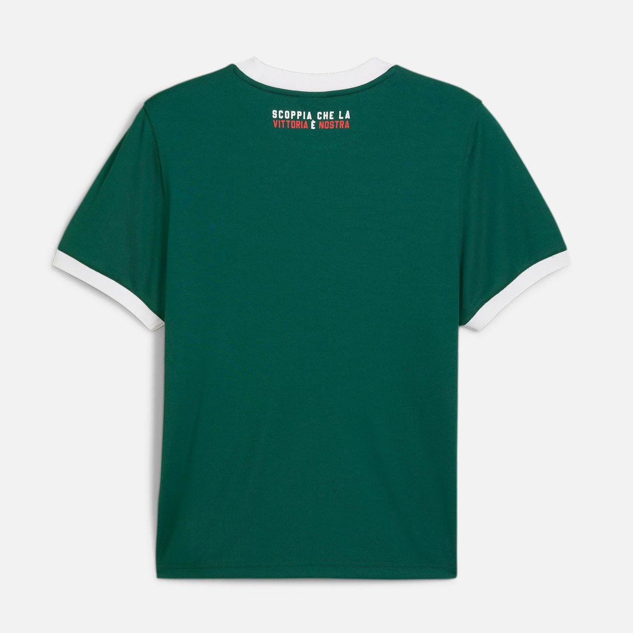 Ringer Tee x Palmeiras Sneakers fishing event