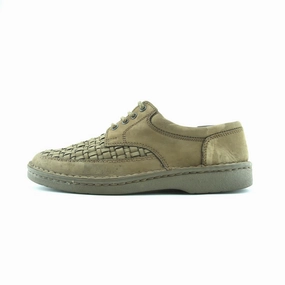 All Rounder SALAMANDER .