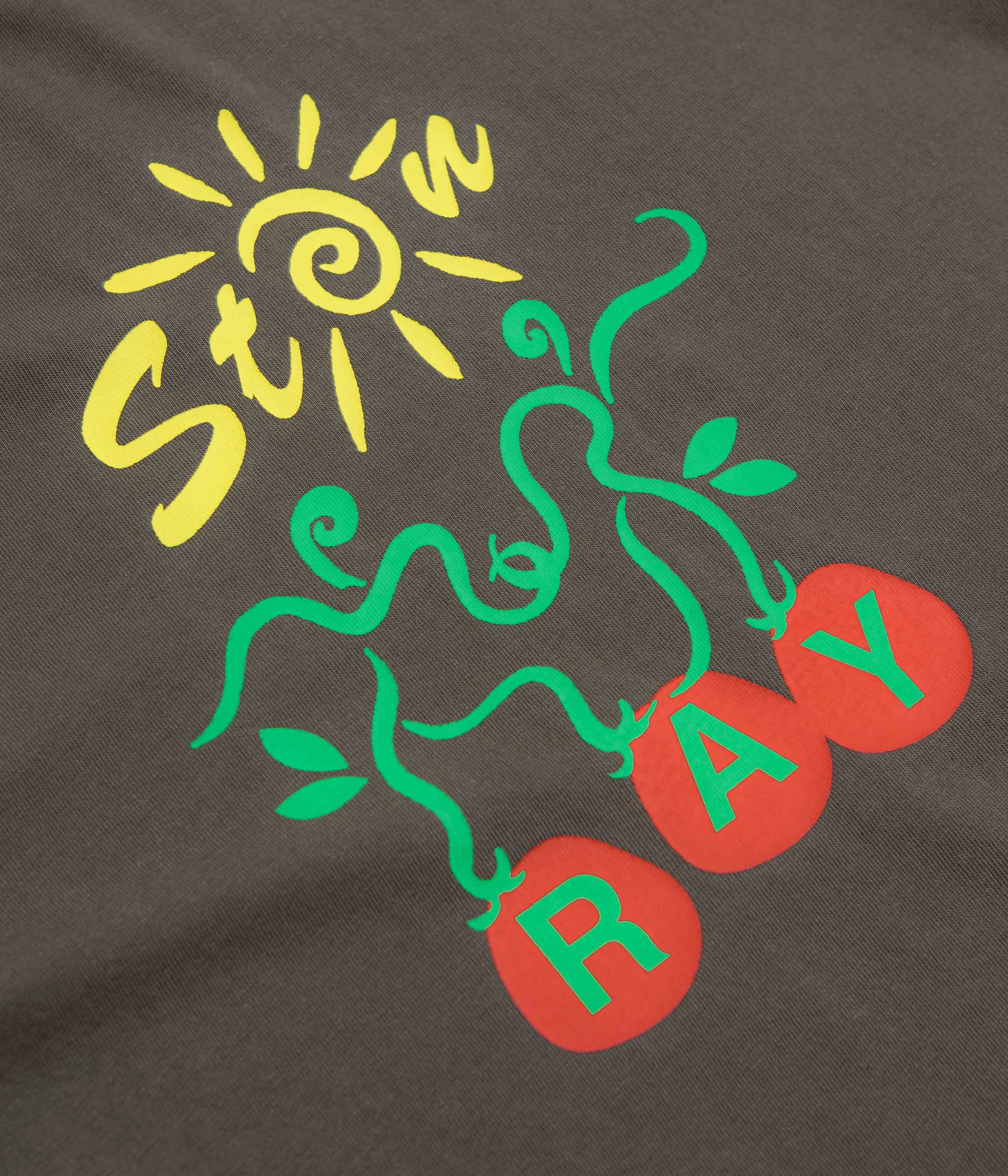 Breathable Mesh Panels helicopter event Stan Ray Ray Vine T-Shirt - Washed Black