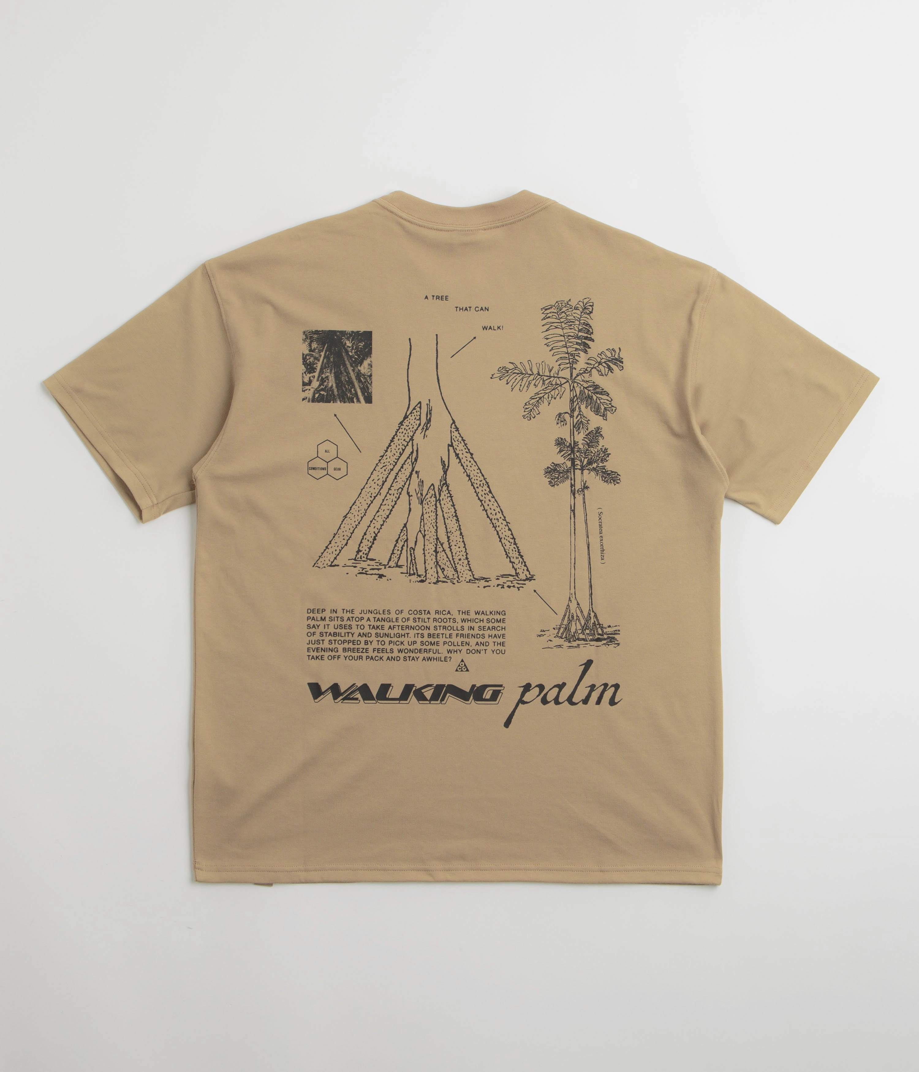 Lightweight texture Modern Prints Nike ACG Walk Tree T-Shirt - Parachute Beige