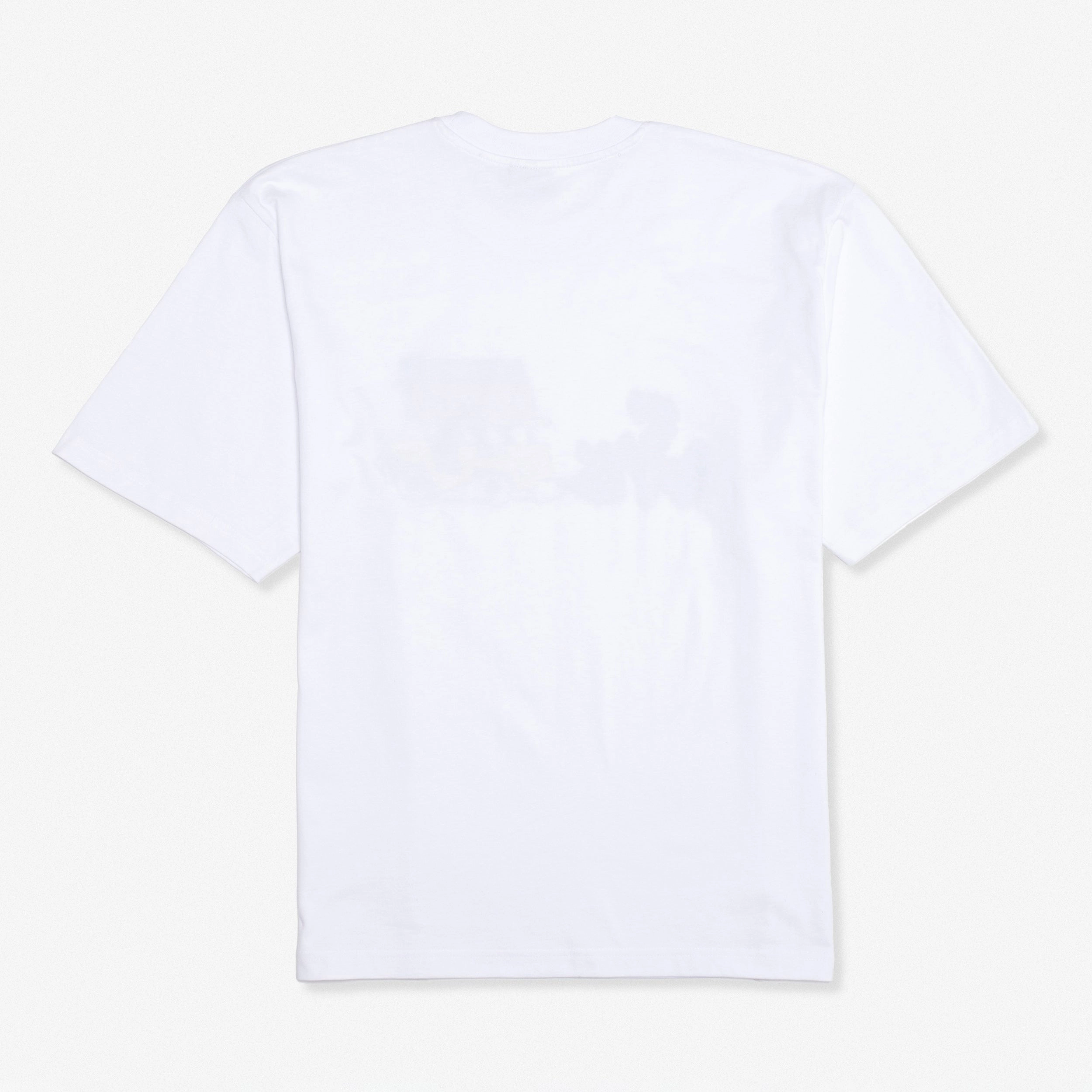 earthy colors adjustable sleeves SNS x La Pamilya Jeepney Tee