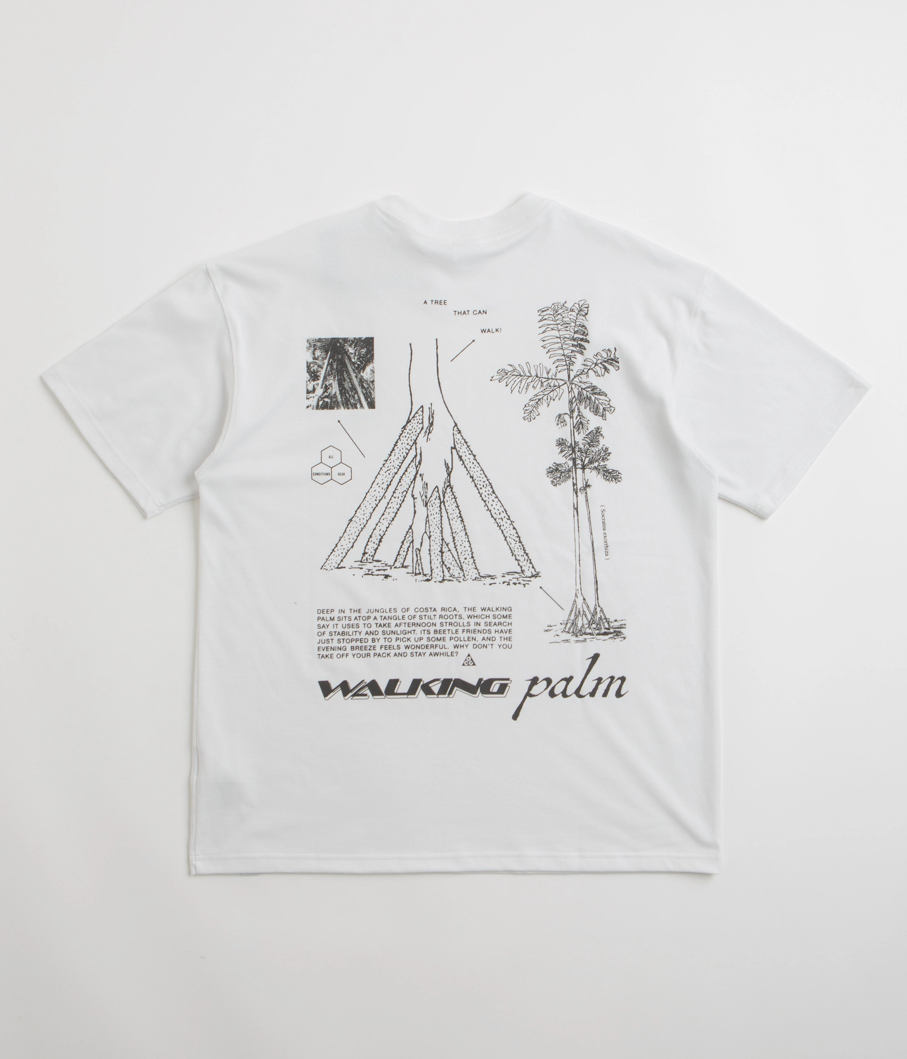 Nike ACG Walk Tree T-Shirt - Summit White Airflow Enhanced Back Panel Yarn Dyed Stripes