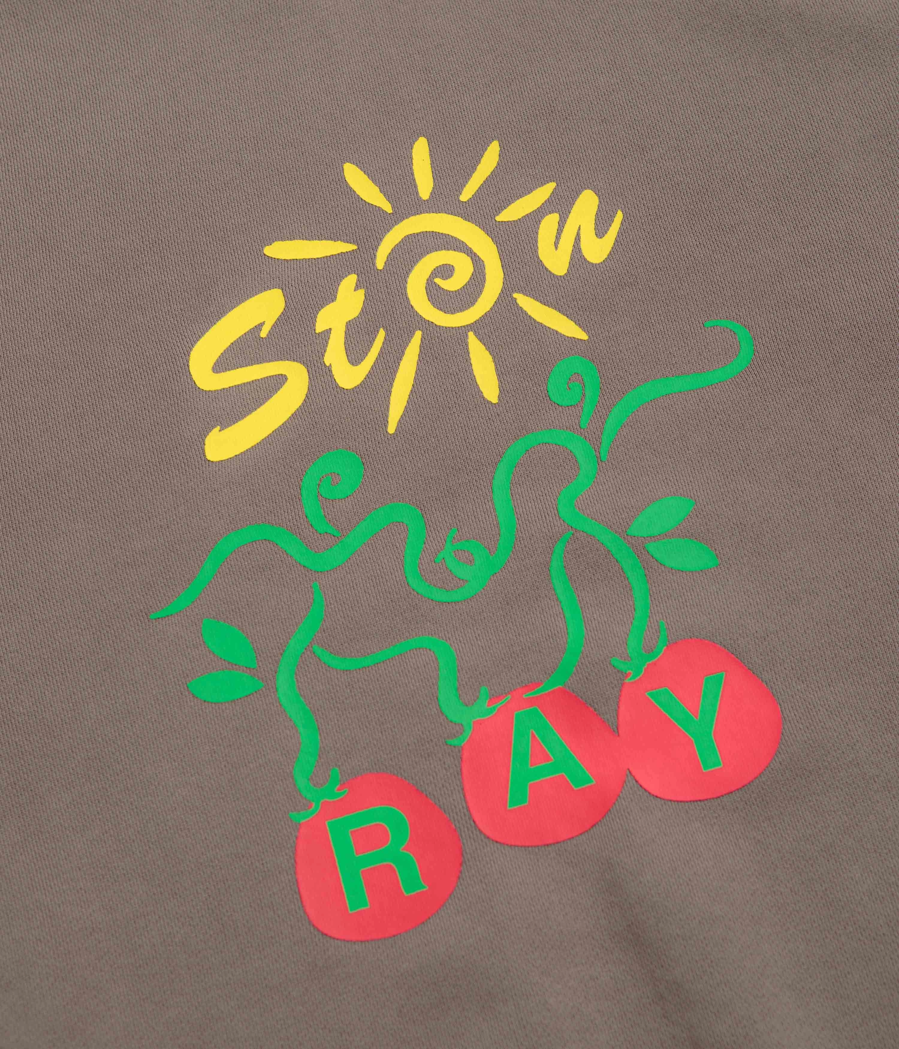 Outdoor Hoodie Sporty Fashion Stan Ray Ray Vine Crewneck Sweatshirt - Shale