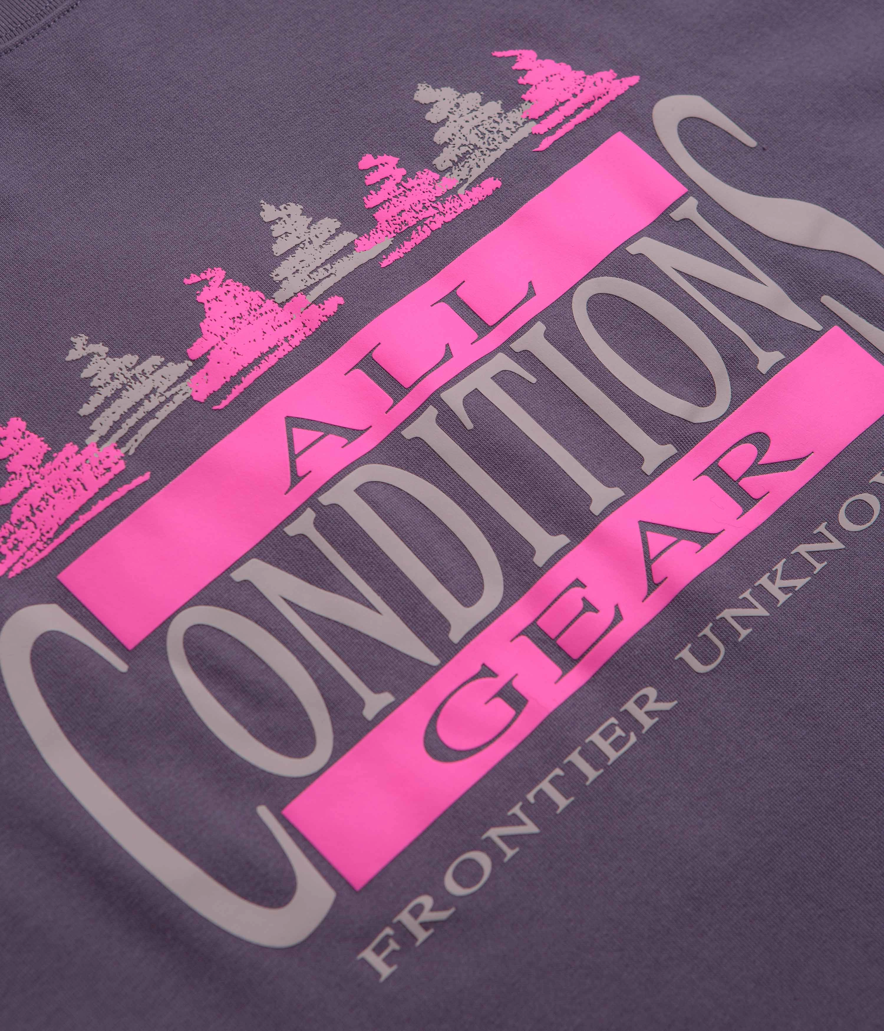 School campus V-Neck Nike ACG Frontier T-Shirt - Dark Raisin